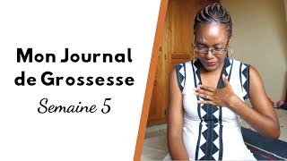 GROSSESSE  SEMAINE 5  LES VITAMINES [upl. by Akinal]