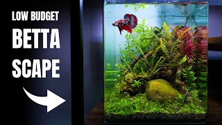 CAN I BUILD A NANO AQUASCAPE FOR 100 EUROS Low Budget Betta Aquarium [upl. by Ellekcir]