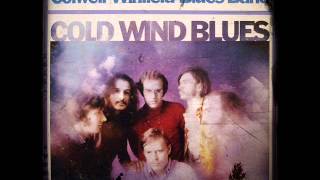 COLWELL  WINFIELD BLUES BAND  GOT A MIND [upl. by Ahtram]