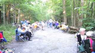 Fancy Fireflies in Smoky Mountains [upl. by Netti645]