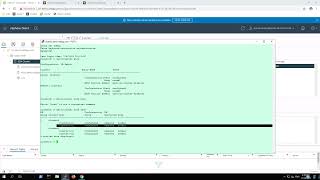 NetApp MCCIP v12  2  Review Environement using CLI [upl. by Alledi]