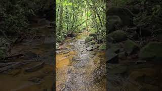 Creek nature hikking asmr 4knature naturehike natureza trailrun waterfall [upl. by Pressey]