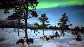 Aurora Borealis Kiruna in Swedish Lapland [upl. by Wolcott326]