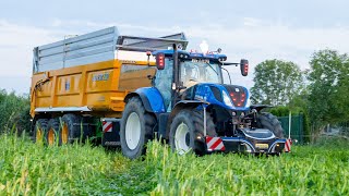 Ensilage de Sorgho Trèfle  Fendt Katana 65  New Holland T 7230 amp T 6070 [upl. by Misa]