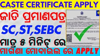 Caste Certificate Online Apply 2024 Full Process  SEBCOBCSCST Caste Certificate Apply Online [upl. by Fiora]