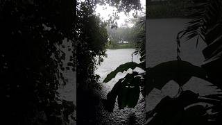 চরম বৃষ্টি বর্ষা কালে তৃতীয় পাট। Heavy rain part3 [upl. by Thamos]