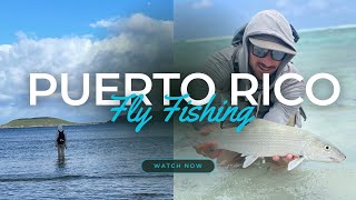 DIY and Guided fly fishing in Puerto Rico Tarpon permit amp bonefish [upl. by Ravens]