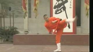 Shaolin Guan Dong Quan  Eastern Gate Boxing 少林关东拳 [upl. by Perlie]