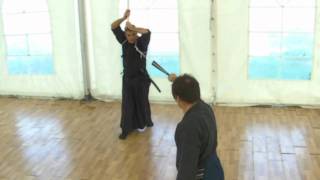 Ogawa Ryu TessenJutsu  Training Moments [upl. by Shandee]