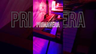 Primavera  Ludovico Einaudi  Piano Cover  piano pianocover shorts [upl. by Rehsa]