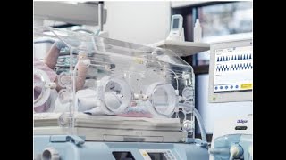 Mechanical Ventilation strategies in different neonatal diseases [upl. by Renae]