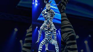 Zebra and man magic show shorts agt youtubeshorts hybrid trending magic [upl. by Nabatse]