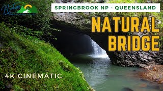 Natural Bridge 🌊 4K Cinematic Waterfall Walk🌴Beautiful amp Beastly 💦Springbrook NP 🌱 Queensland [upl. by Anaxor]