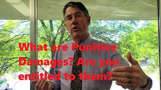 Punitive Damages  What Are They When Do Judges Award Them [upl. by Sayer]