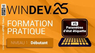 Formation Windev 25  niveau 1  Débutant  Ep5 Paramètres détat étiquette [upl. by Stevana819]