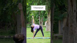 Standing Asanas for Beginners  yoga for beginners yogaforbeginners yogapractice yoga shorts [upl. by Coryden814]