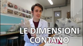 Le dimensioni contano  almeno per le cellule [upl. by Notneiuq]