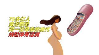 人类母系祖先“线粒体夏娃”生存在20万年前，线粒体“夏娃”与Y染色体“亚当”之谜【基地边缘】 [upl. by Camilla]