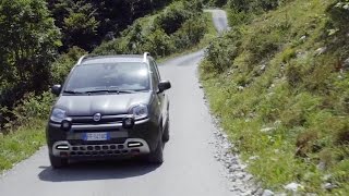 2017 Fiat Panda Cross [upl. by Initsed]