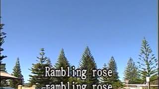 Ramblin Rose  Video Karaoke DF [upl. by Ikairik]