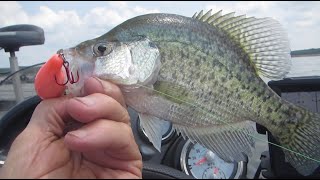 FISH4FUN LONGLINE TROLLING FOR CRAPPIE [upl. by Yniffit]