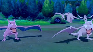 LIVE Shiny Aerodactyl via Masuda Method after 11 eggs in Pokemon Sword [upl. by Lilhak]