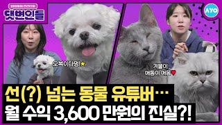 ENG강아지 VS 고양이 영상찍다 폭주…랜선집사 픽 갓오복X읏디 등판댓변인들AYO 에이요Reaction [upl. by Alicia]