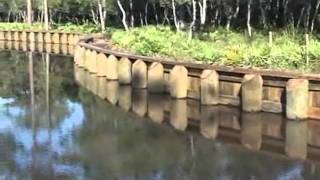 Retaining Wall Construction Bulkhead Construction and Bulkhead Repair by Bridge Builders USA Inc [upl. by Atinauj]