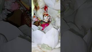 oh maha Lakshmi 🙏navaratri special devotional songs devotion [upl. by Aiclid]