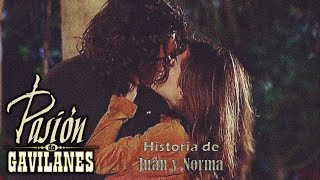 Pasion de Gavilanes PDG Juan y Norma 267 [upl. by Timothea260]