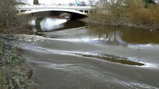 River Mersey tidal bore – end of the line 2019 [upl. by Eisdnil]