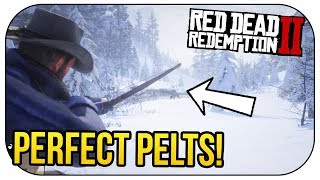 Red Dead Redemption 2  How To Get Perfect Pelts Everytime 3 STARS [upl. by Gujral]