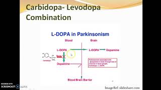 Pharmacology of Levodopa  M P Dixit [upl. by Hadwin650]