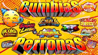 ⚡LAS MEJORES CUMBIAS PERRONAS 2024 MIX🎉SUPER CUMBIAS SONIDERAS MIX DE GUZENSTEPOZQUINTANNA Y MÁS [upl. by Winn]