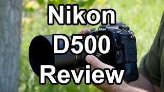 Nikon D500 Review A Wildlife Photographers Perspective [upl. by Eliezer]