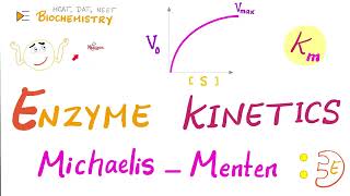 MichaelisMenten Equation amp Enzyme Kinetics  Biochemistry Series [upl. by Kellda]