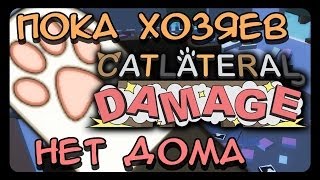 ПОКА ХОЗЯЕВ НЕТ ДОМА Catlateral Damage [upl. by Darrelle697]