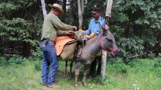 Donkey Packing  wwwmountainridgegearcom [upl. by Arreik]