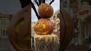 Halloween Decor is up at Magic Kingdom [upl. by Nodnalb]