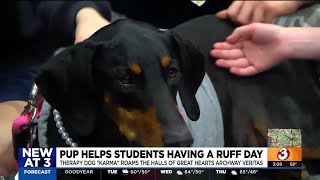 Phoenix elementary school get therapy dog for students [upl. by Fiel151]