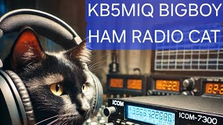 License Tips for new hams for HF Rigs MARS mod 10 meters mtc mfj hamradio 10meters [upl. by Quincy]