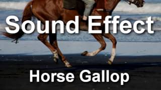 Horse Gallop Sound Effect YouTube [upl. by Lizbeth]