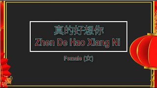 真的好想你 Zhen De Hao Xiang Ni Female Version  Karaoke mandarin [upl. by Elwood]