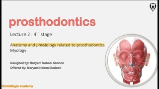 Prosthodontics 4th stage lec2 Anatomy and physiology related to prosthodontics Myology [upl. by Adehsor]