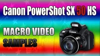 Canon PowerShot SX50 HS  Macro Video Samples [upl. by Herahab]