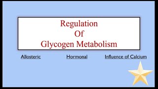 Regulation of Glycogen Metabolism  AllostericHormonal ampInfluence of Calcium ions [upl. by Nnylassej]