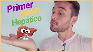 💊 PRIMER PASO HEPATICO [upl. by Sainana]