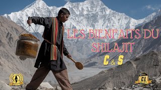 Les Bienfaits du Shilajit [upl. by Orvil]