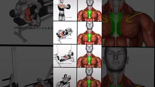 Perfect shape chest exercise 💪 motivation gym chestexercises [upl. by Nilesoj493]