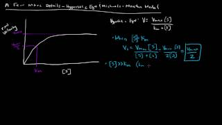 Enzymes  Michaelis Menten Model  A Few More Details [upl. by Nadnerb454]